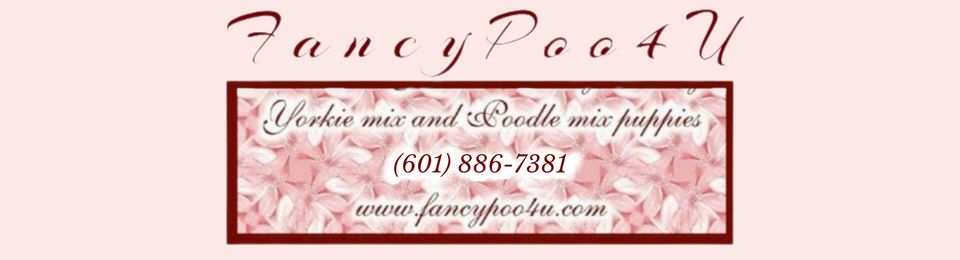 Fancypoo4u